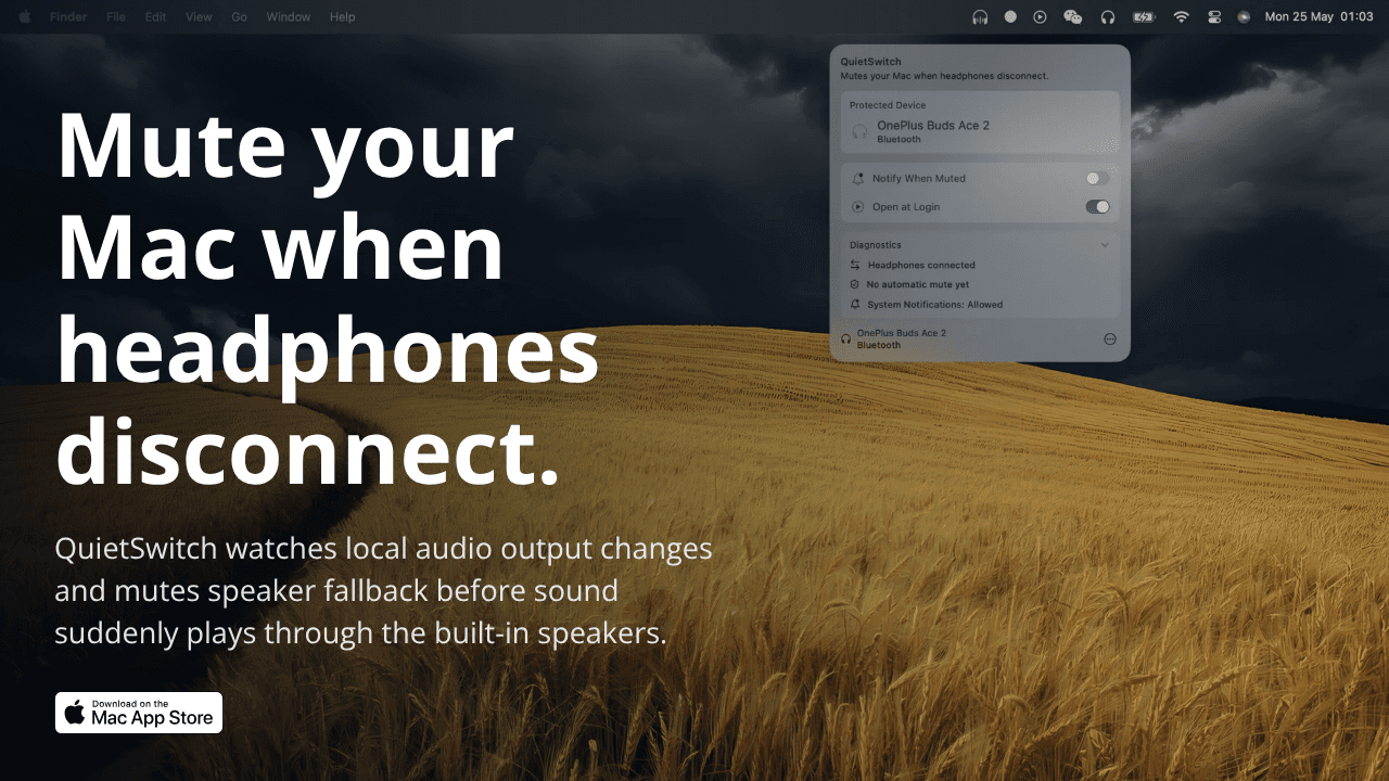 QuietSwitch website screenshot