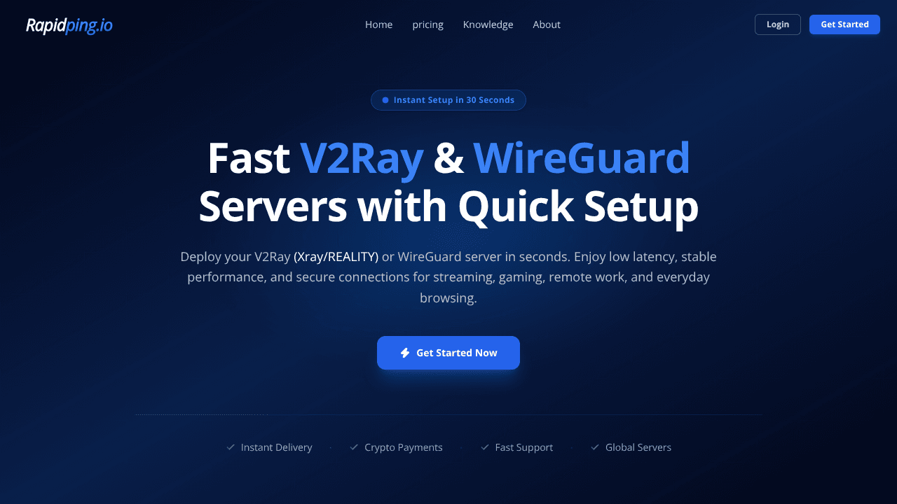 RapidPing website screenshot