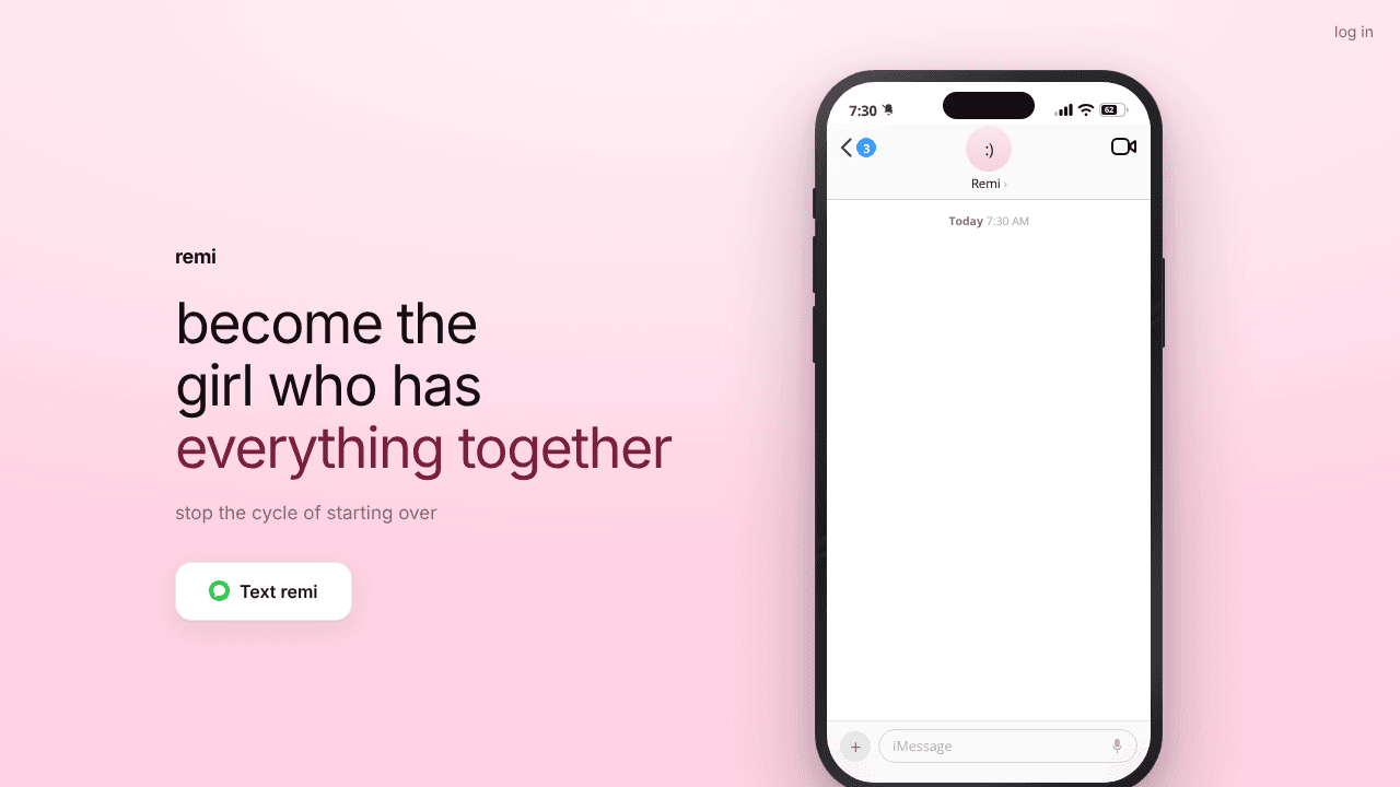 remi website screenshot