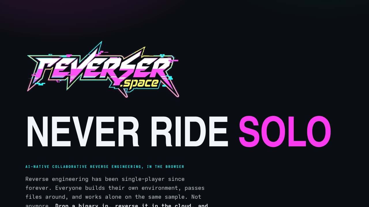 reverser.space website screenshot