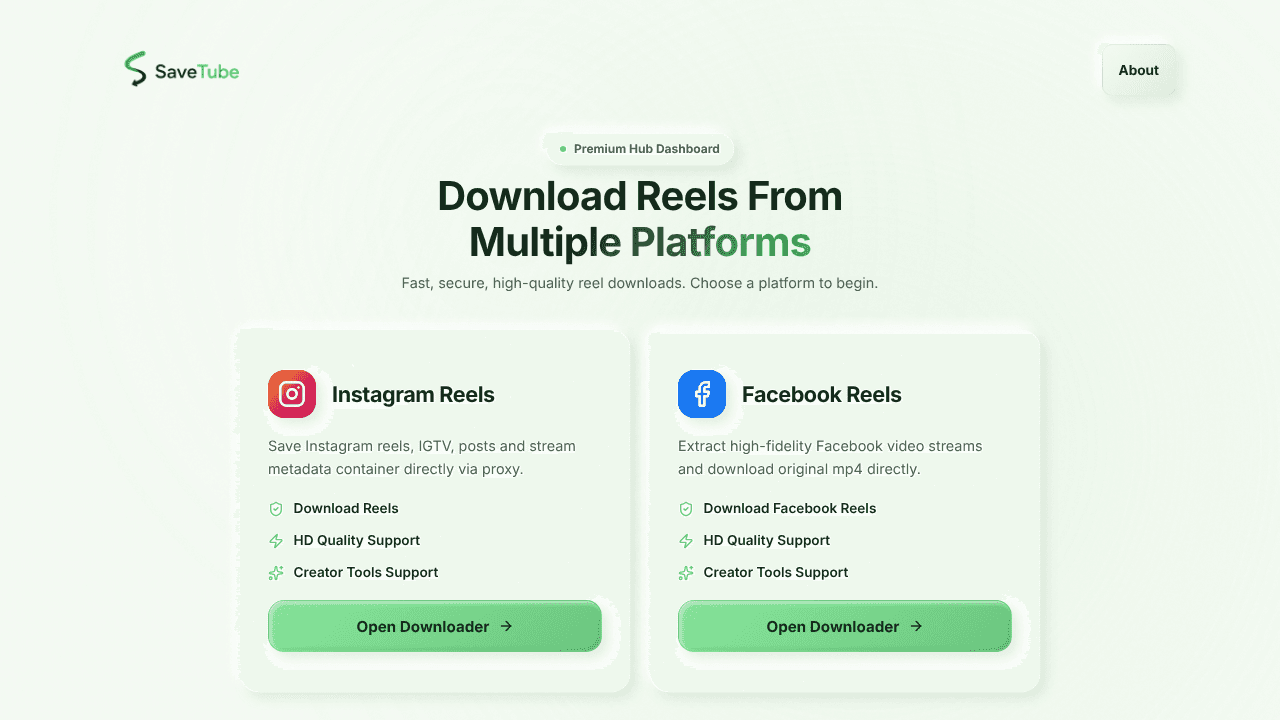 SaveTube - Video Downloader website screenshot