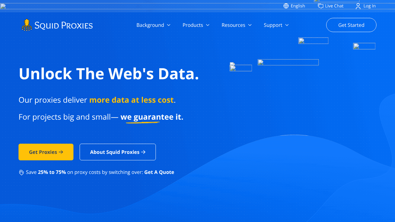 Squid Proxies website screenshot