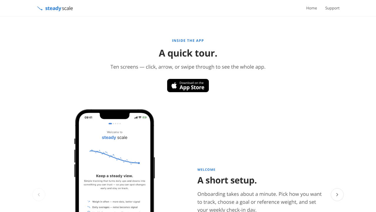 Steady Scale website screenshot
