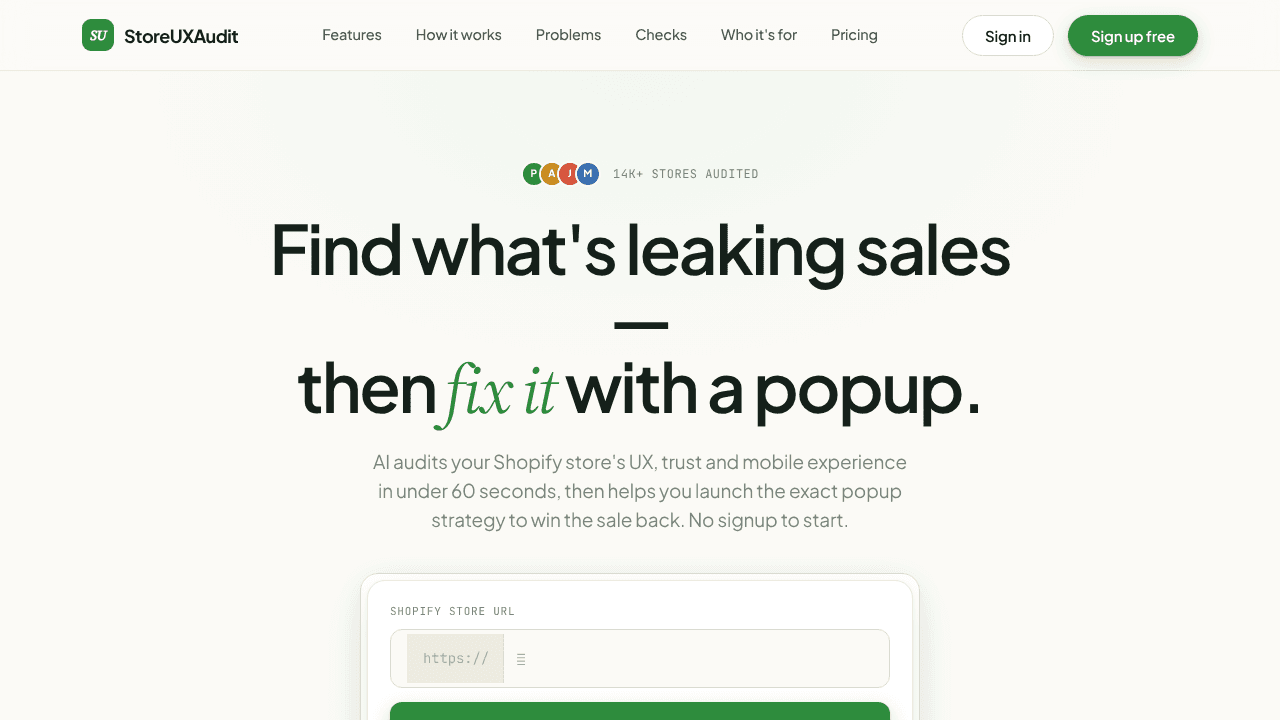 Store UX Audit website screenshot