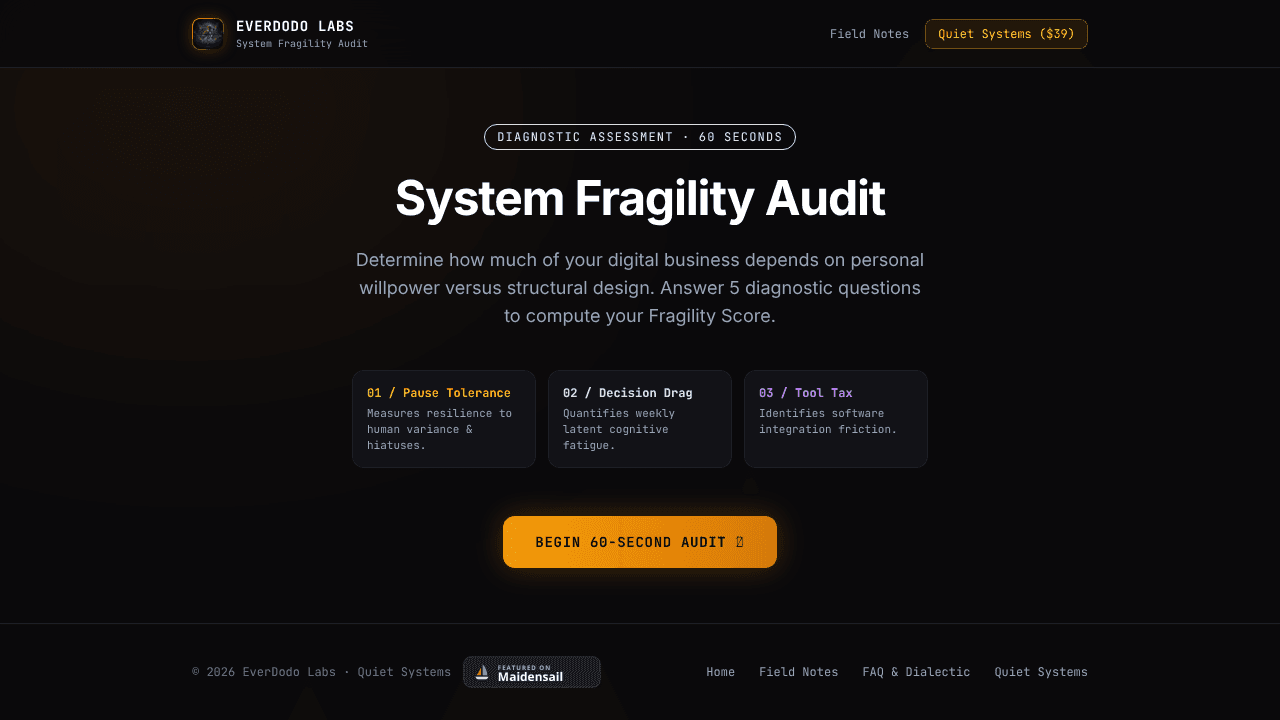 System Fragility Audit by EverDodo website screenshot