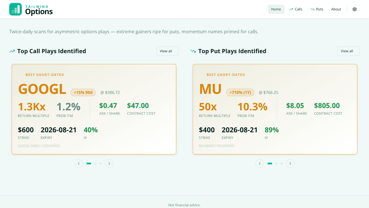 Tailwind Options website screenshot