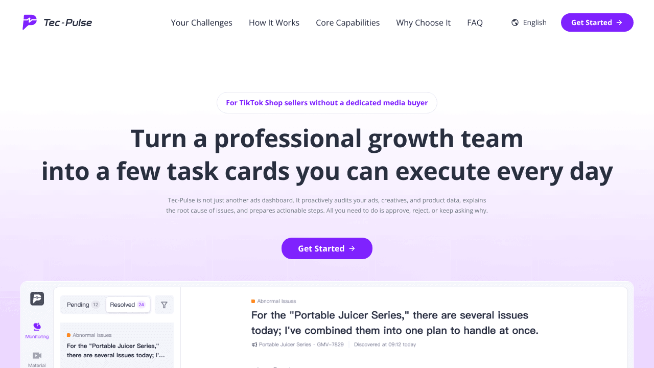 Tec-Pulse website screenshot