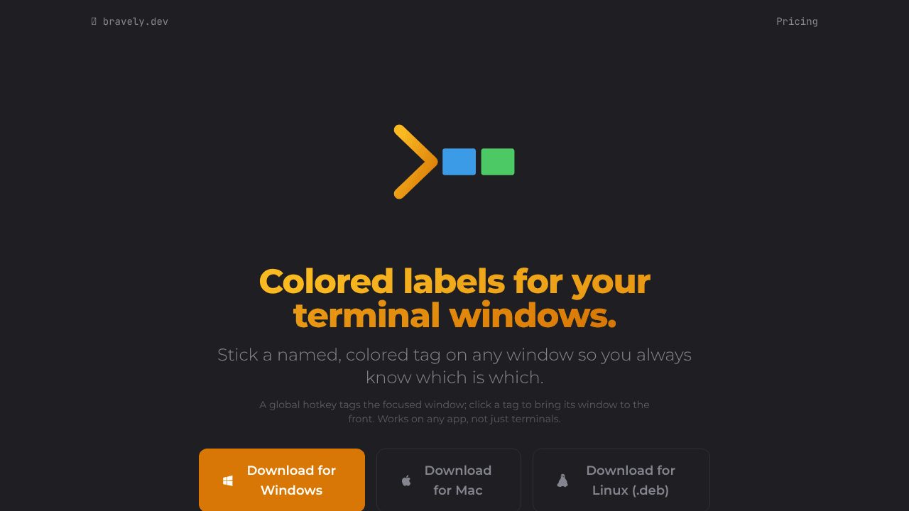 TerminalTags website screenshot