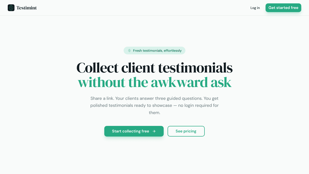 Testimint website screenshot