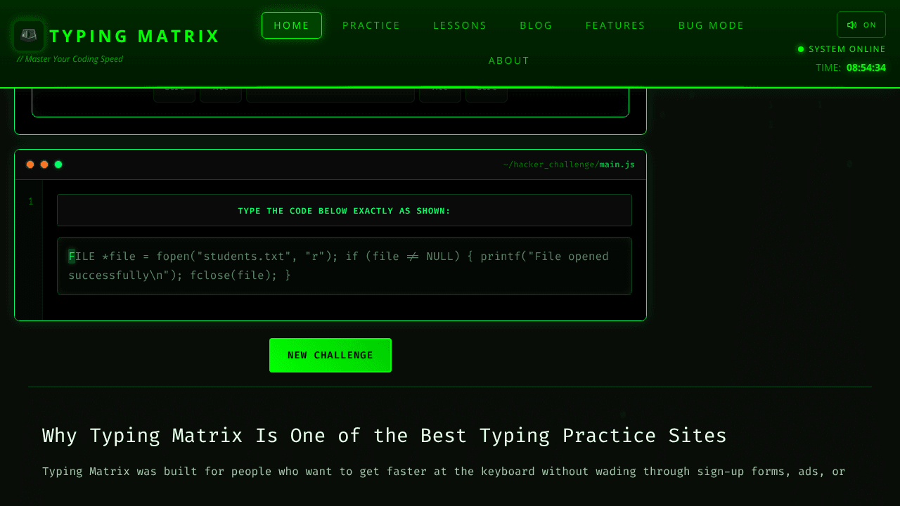 The Typing Matrix website screenshot