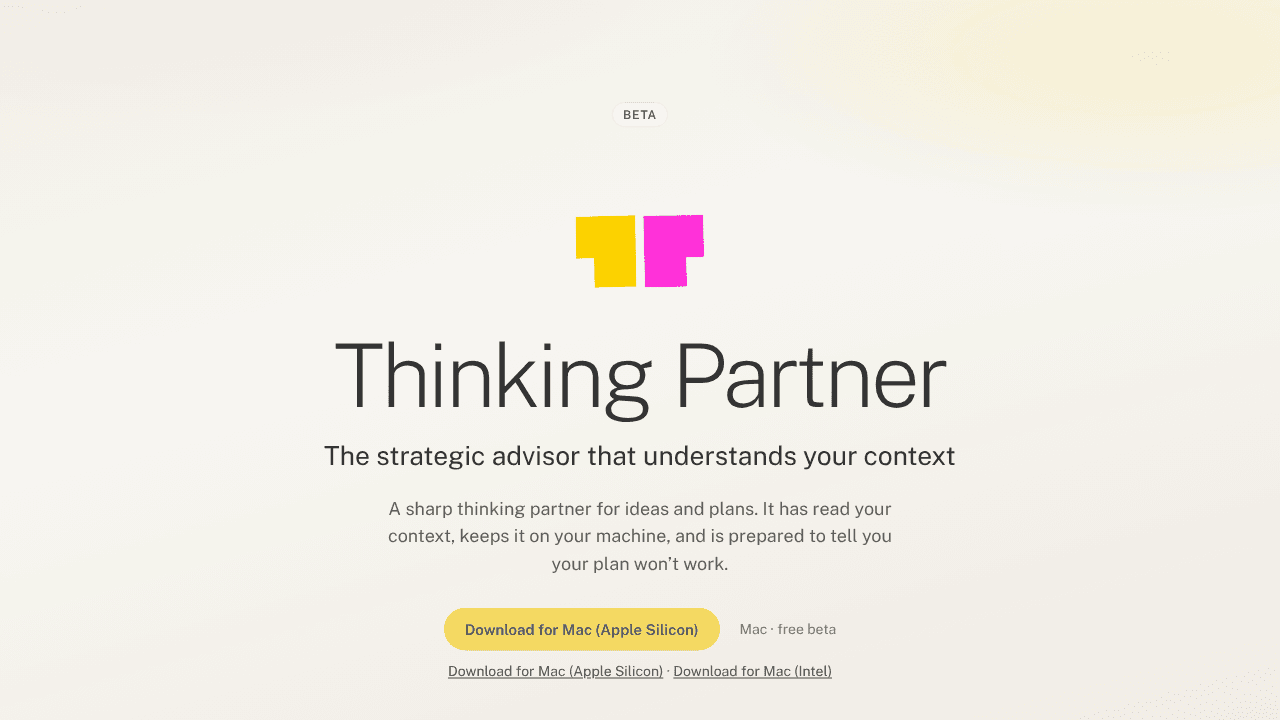 Thinking Partner website screenshot