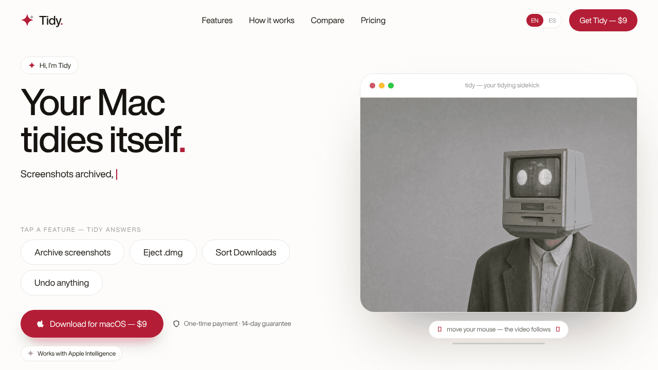 Tidy website screenshot