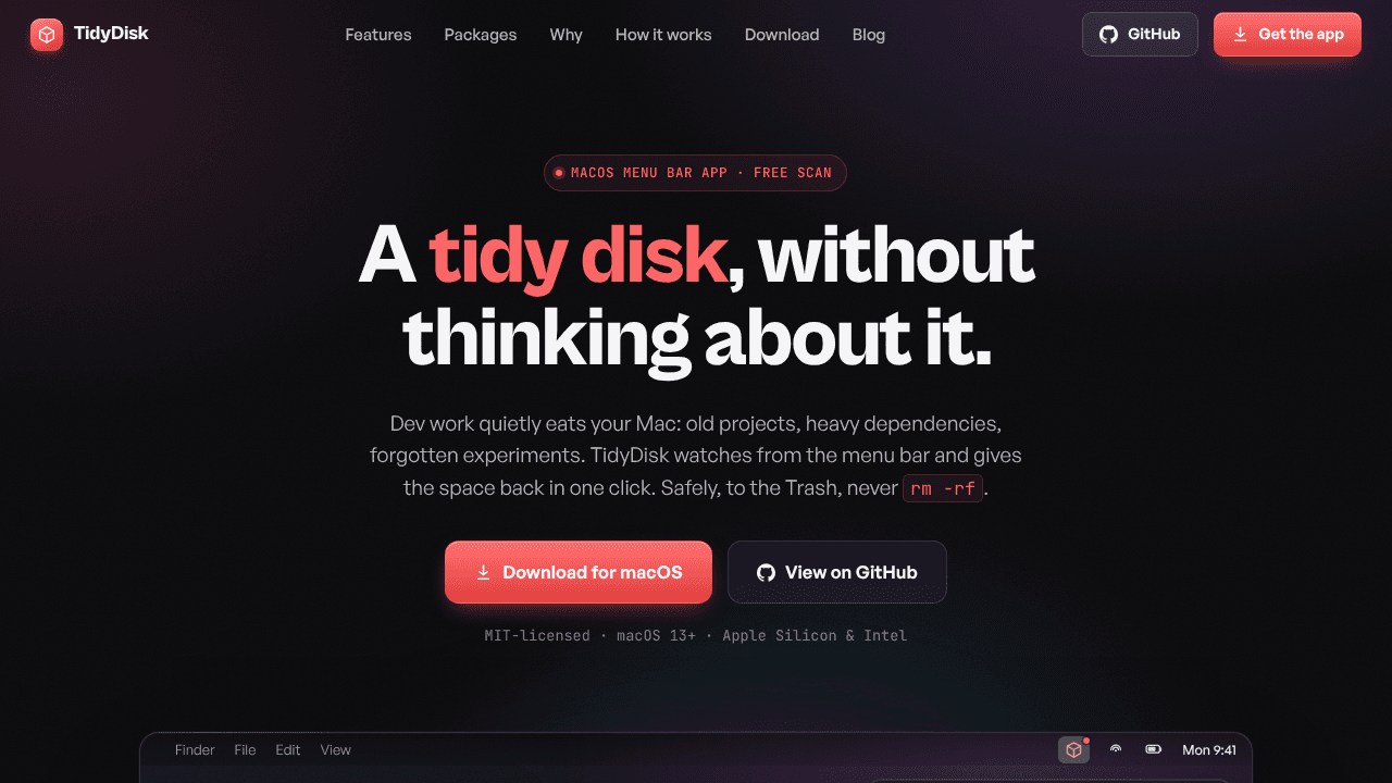 TidyDisk website screenshot