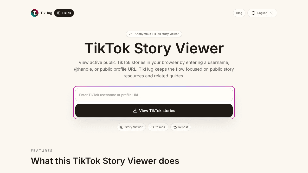 TikTok Story Viewer website screenshot