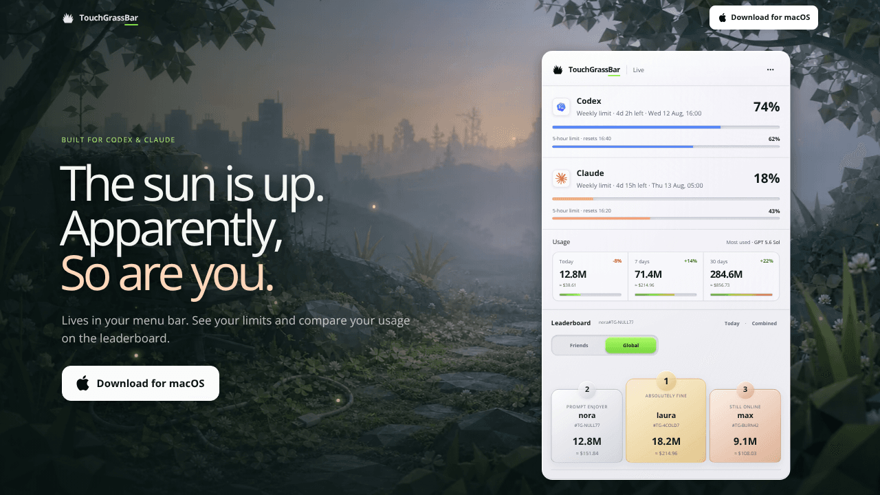TouchGrassBar website screenshot