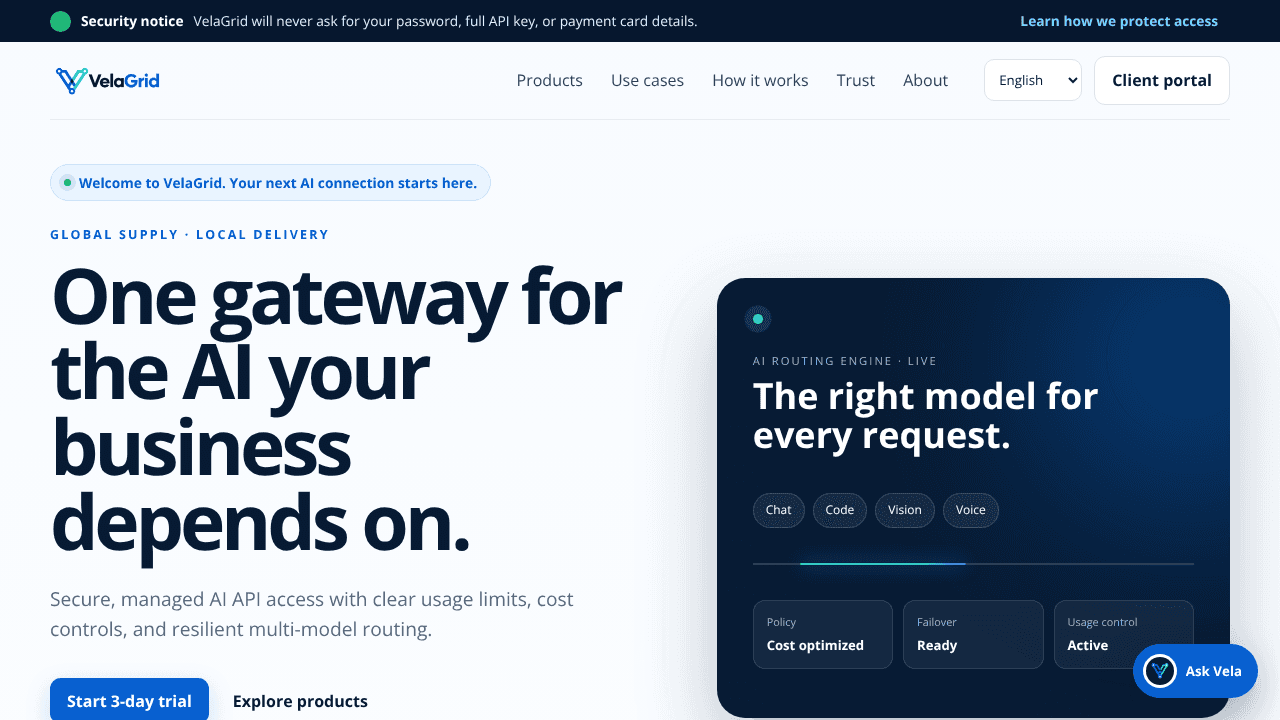 VelaGrid website screenshot