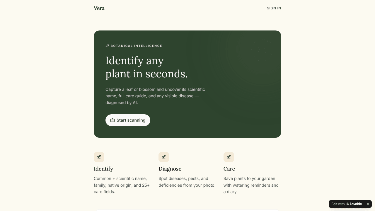Verta website screenshot