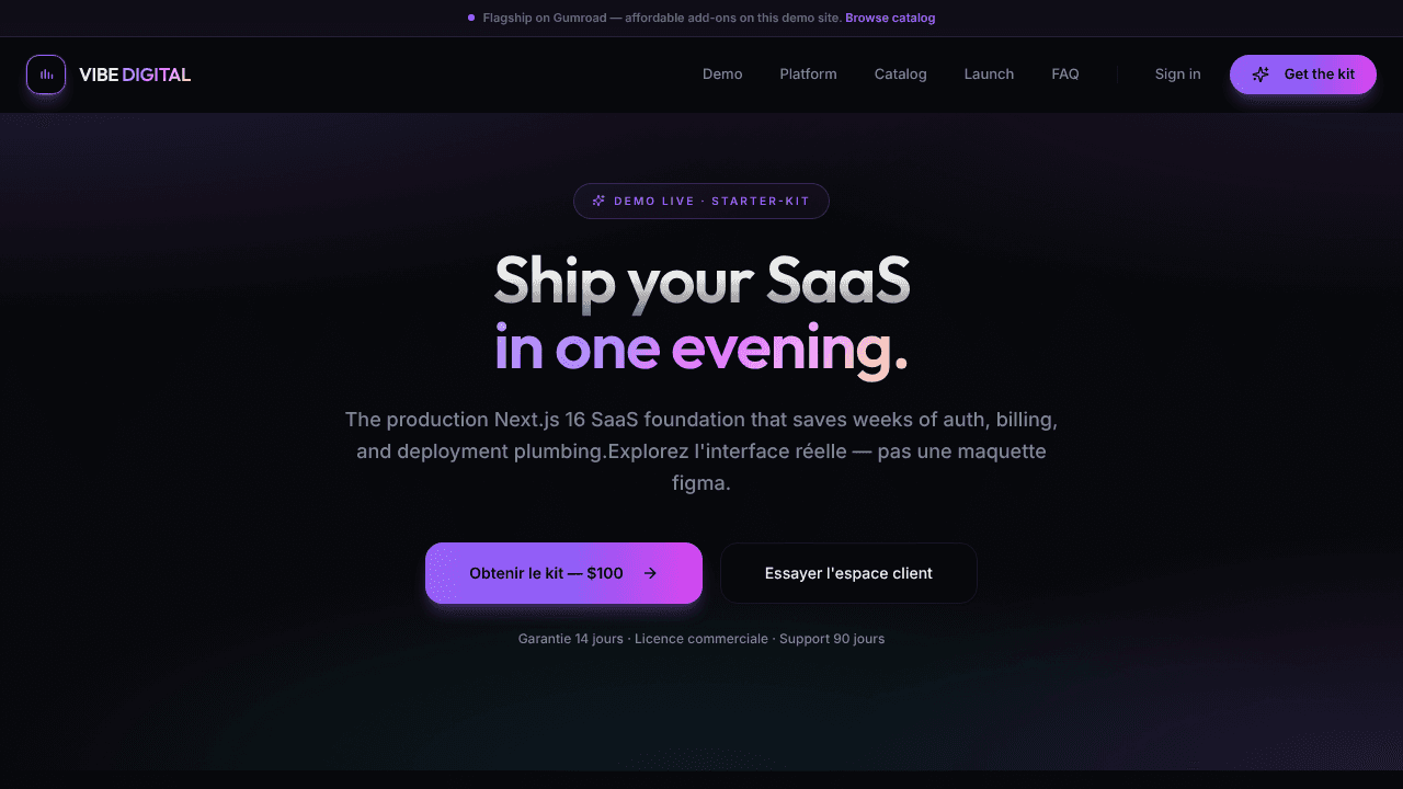 Vibe PWA Starter-kit website screenshot