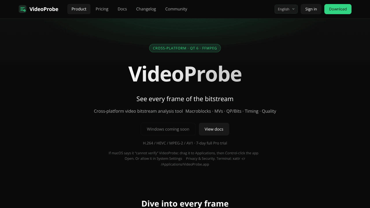 VideoProbe website screenshot