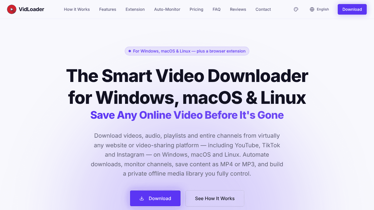 VidLoader website screenshot