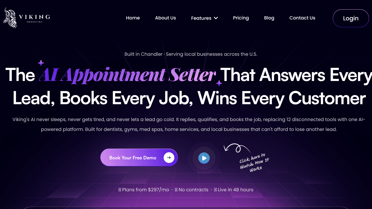 Viking Marketing website screenshot