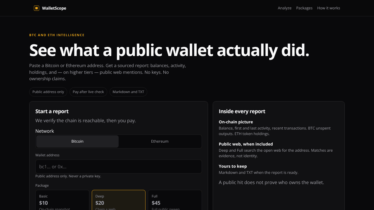 WalletScope - Deep in chain website screenshot