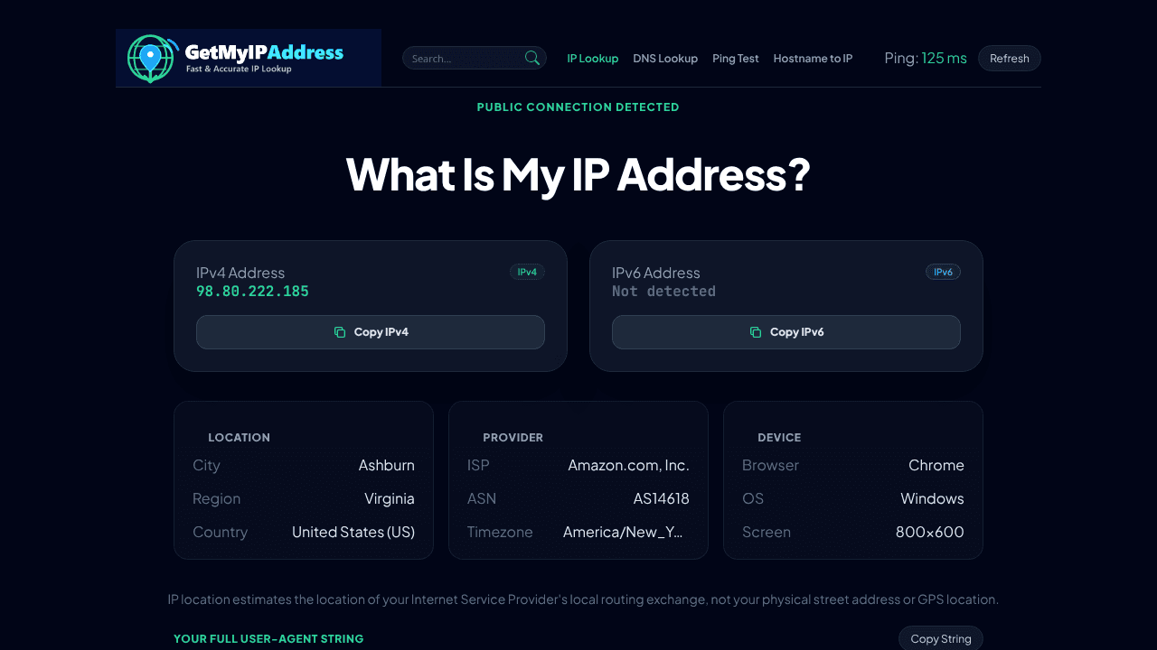 What Is My IP Address? website screenshot