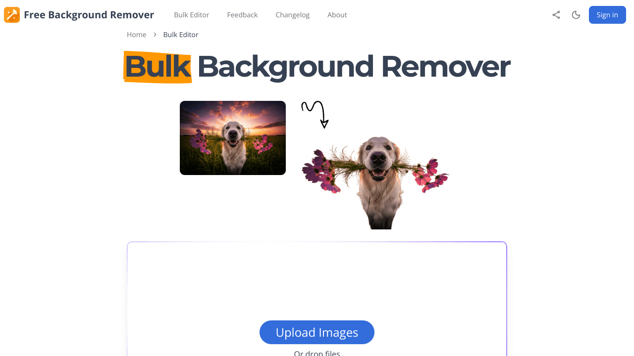 Bulk Background Remover