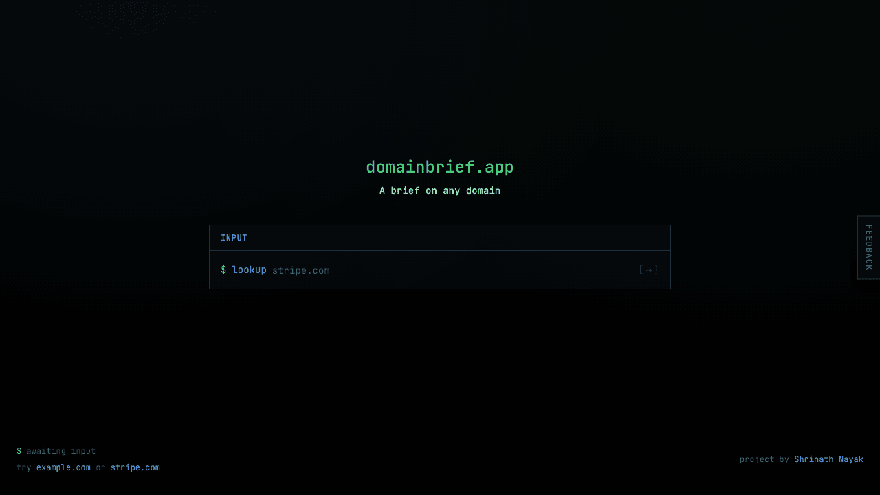 DomainBrief - domain lookup report