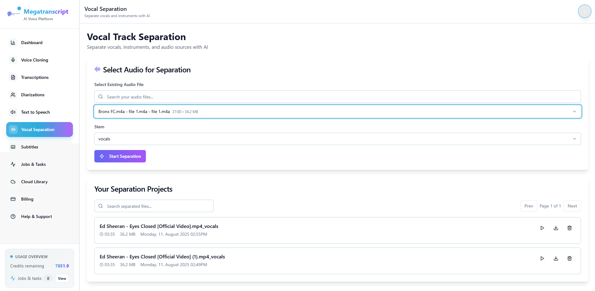 MegaTranscript AI Voice Studio