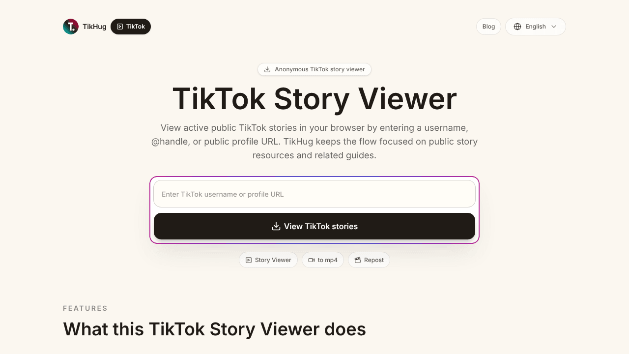 TikTok Story Viewer