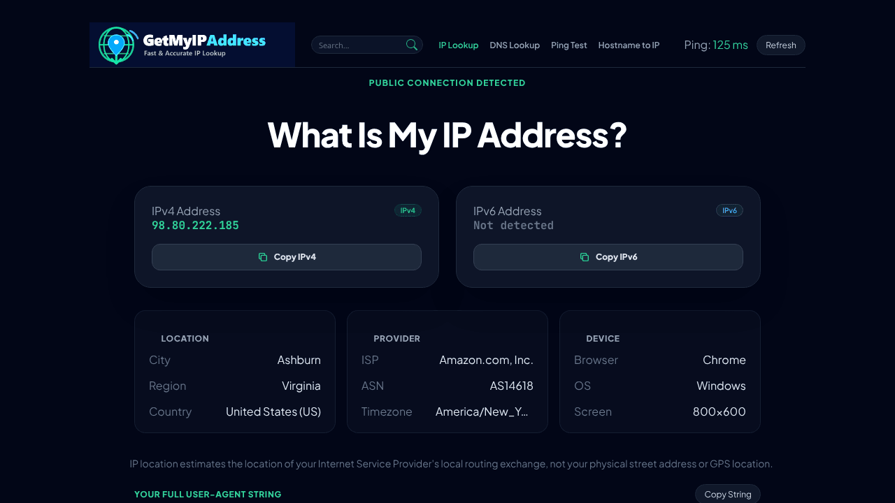 What Is My IP Address?