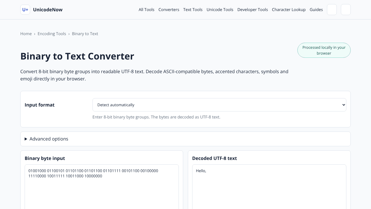 Binary to Text Converter