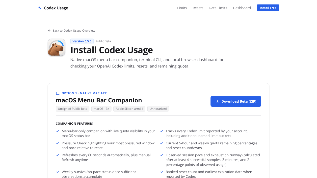 Codex Usage