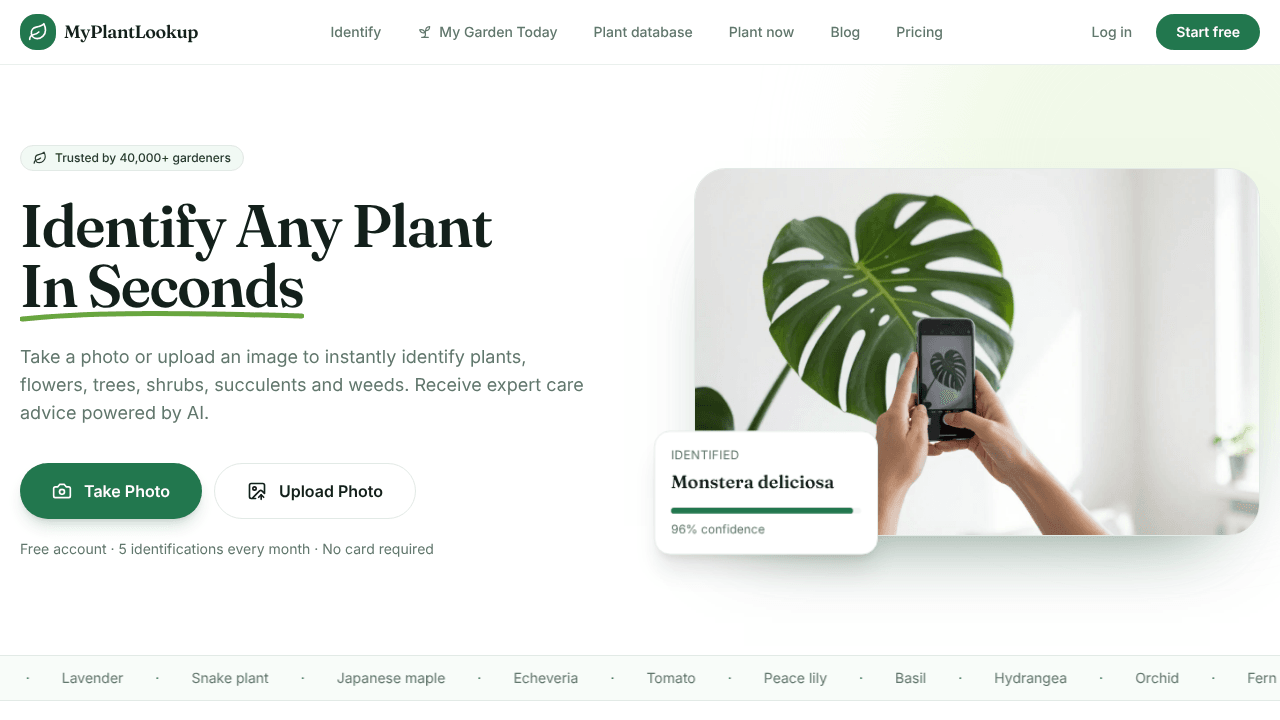 MyPlantLookup