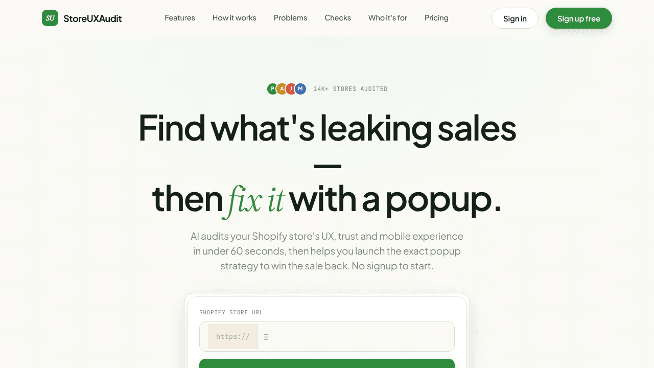 Store UX Audit